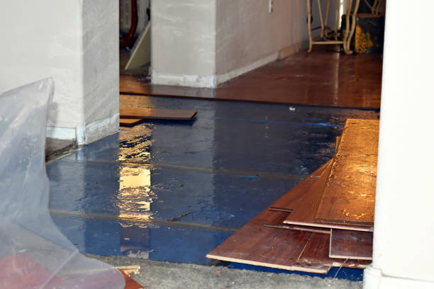 Professional Sewage Cleanup technician working in Linwood, MI