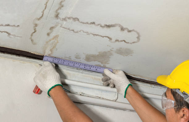 Reliable Sewage Cleanup contractor in Linwood, MI by Aqua Guard Water Damage